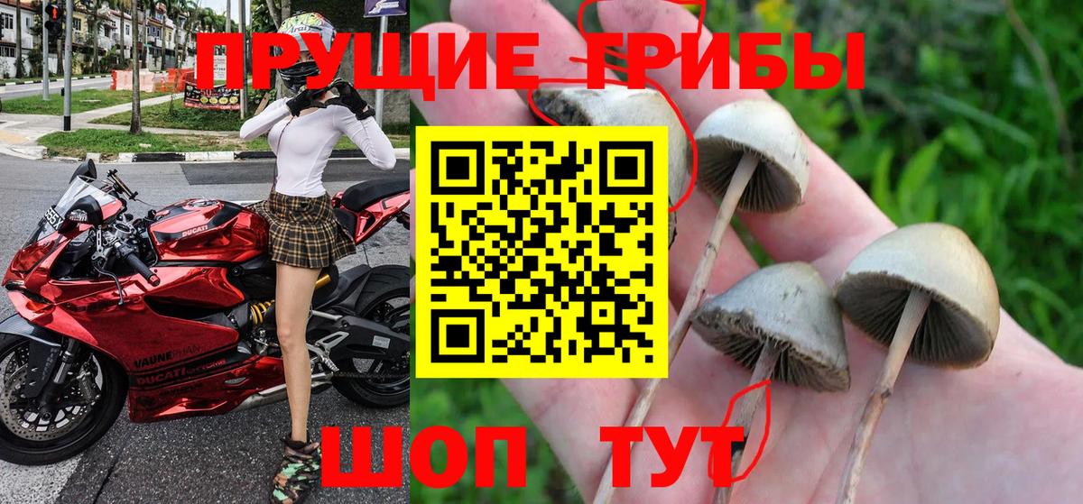 Псилоцибиновые грибы мицелий  Галлюциногенные грибы Magic Shrooms  Химки  Вход с VPN 
